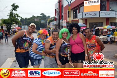 Confira em fotos como foi o desfile da Banda do Vai Quem Quer 2015