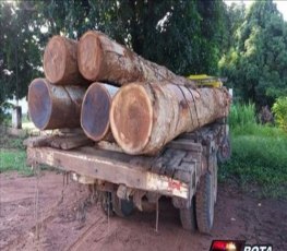 Caminhão toreiro transportando madeira irregular é apreendido 