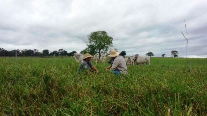 Metade dos produtores rurais tem rentabilidade zero, alerta Aprosoja Brasil