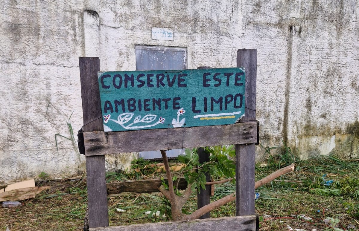 ‘PROJETO MOTOSSERRA’: Árvores de projeto ambiental na Escola Rio Branco são derrubadas