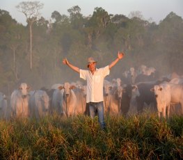 Produção integrada é sucesso de fazenda de pecuária sustentável