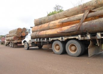 JARU - Policia Ambiental apreende três caminhões com madeira ilegal