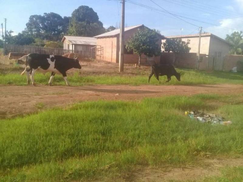 FACEBOOK: Prefeita de Cacoal é “trollada” em postagem e reage com frase ácida