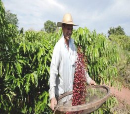 Deputado Lúcio Mosquini quer 90% de abatimento na dívida do produtor rural