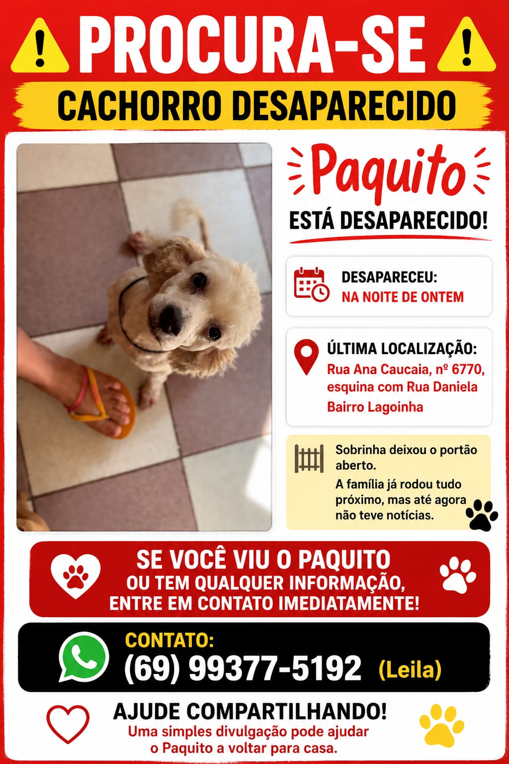 AU-AU: Família pede ajuda para encontrar cão desaparecido no bairro Lagoinha