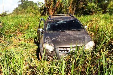 Motorista capota automóvel na Estrada da Penal