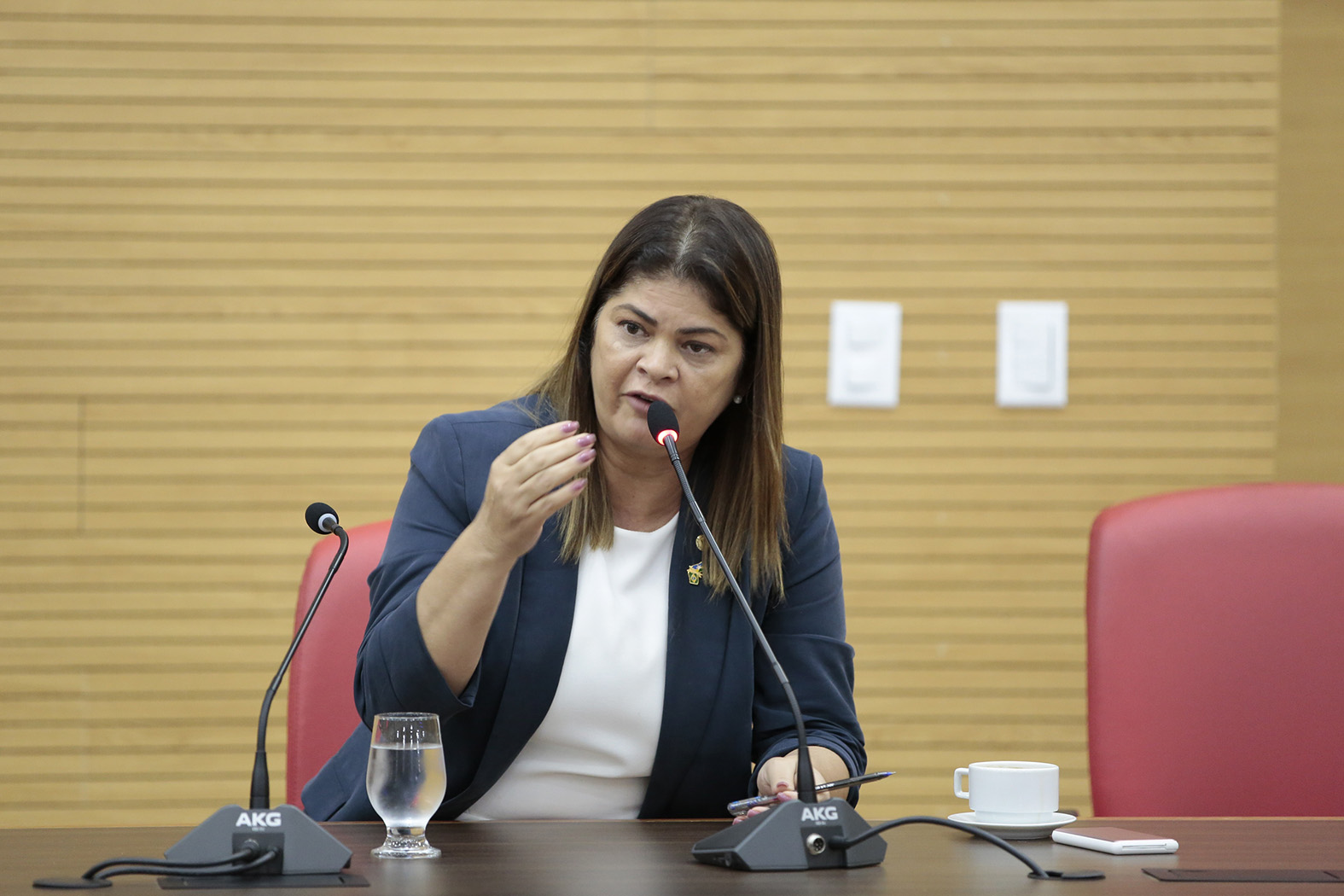 ACESSIBILIDADE: Cássia Muleta indica mutirão “Tudo Aqui Móvel” para Tarilândia