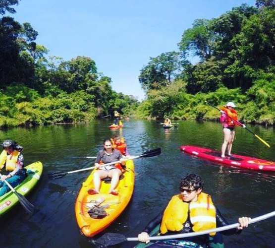 Atrativos turísticos para quem está de férias em Rondônia