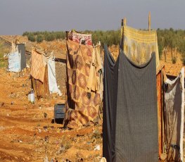 Sem banheiro, mais de 4 milhões de brasileiros precisam defecar ao ar livre