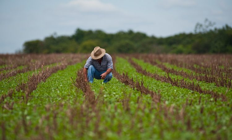 OUTUBRO ROSA: Produtoras rurais são encaminhadas pela Emater para exames