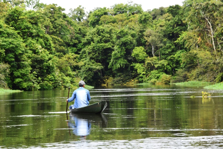 AMAZÔNIA: Instituto de Pesquisas oferece 107 vagas em sete cursos de mestrado