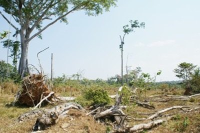 Rondônia faz a 2ª aproximação do zoneamento ambiental
