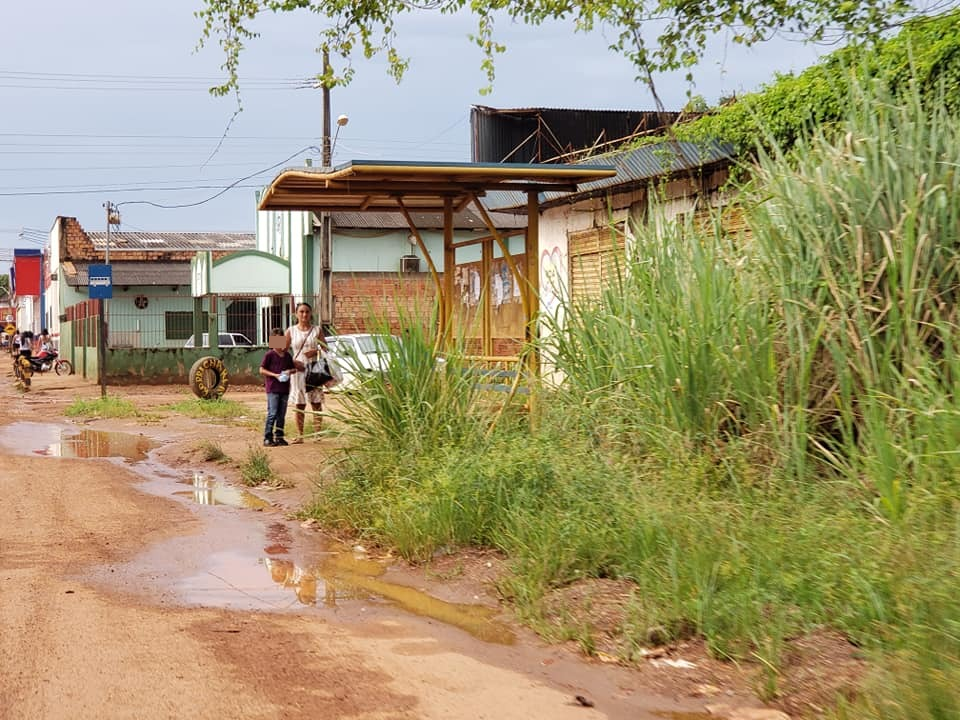 CENA DA CIDADE: Mato encobre ponto de ônibus no bairro São Francisco em Porto Velho