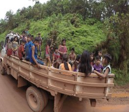 TERRA BRUTA: Pistolagem e mortes camufladas