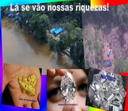 NA NOSSA FLORESTA - Ouro, diamantes, nióbio, ideologias e idiotices