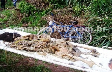 Ossada humana é encontrada em terreno baldio - Fotos de Alto Impacto