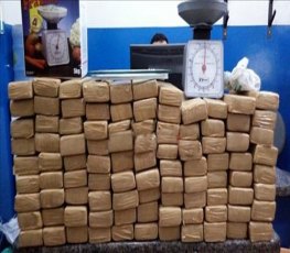 TRÁFICO: Polícia Militar apreende 65 quilos de Maconha