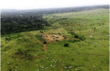 RIO PARDO - Operação irá retirar famílias que invadiram Floresta Nacional do Bom Futuro