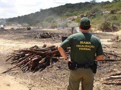 PM é assassinado em operação do Ibama contra desmatamento
