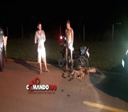 LOBO MAU - Jovens são presos após matar os 'três porquinhos', em Ji-Paraná