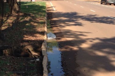 CENA DA CIDADE – Serviço porco em avenida intriga comunidade - FOTOS