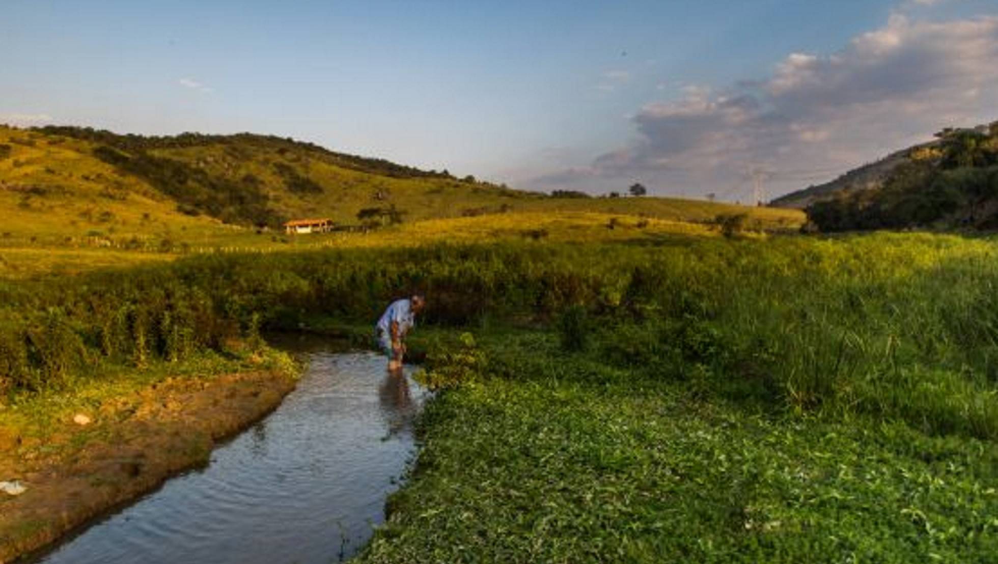 Brasileiros não sabem se tem agrotóxicos na água que bebem