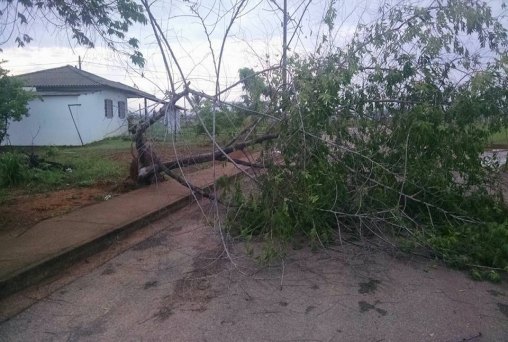 Temporal atinge Vila Mutum e deixa rastro de destruição