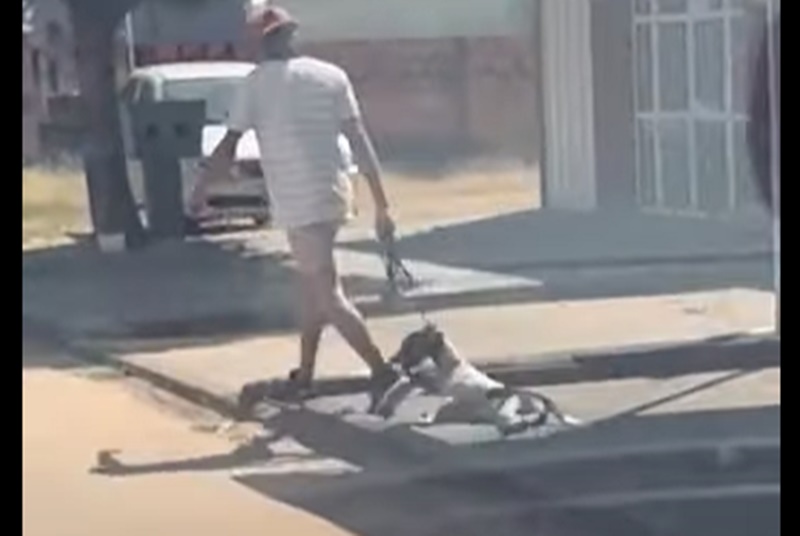 ABSURDO: Homem é flagrado arrastando cachorro ferido pela coleira e revolta moradores