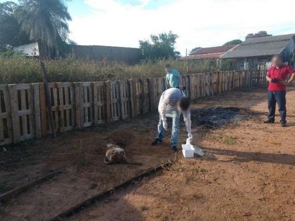 TRAIÇOEIRA: Sogra tenta matar genro com veneno de rato na feijoada