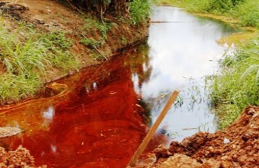 Após denúncia do Rondoniaovivo, SEMOB e SEMA retiram óleo que atingiu Igarapé na Zona Norte 