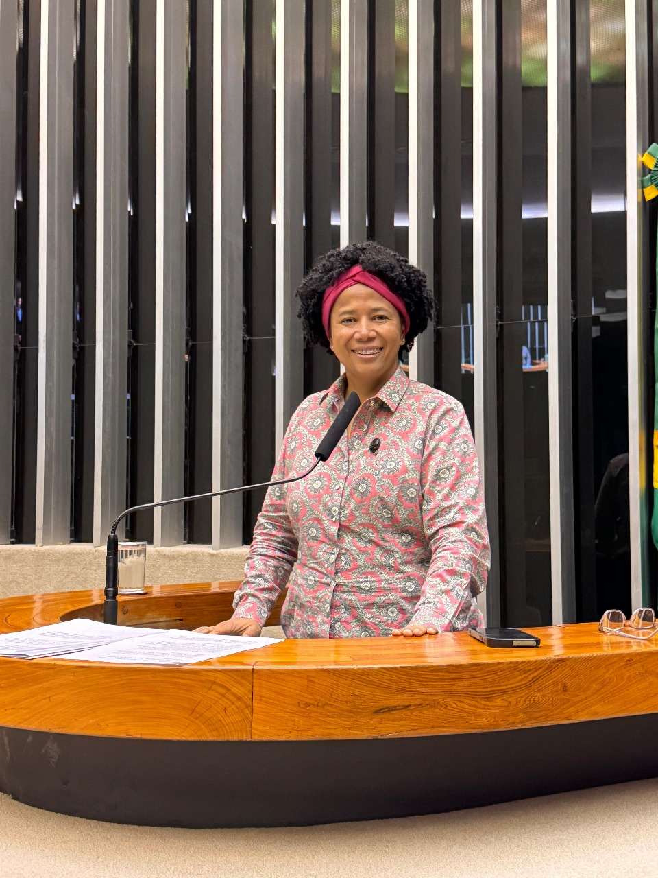 SÍLVIA CRISTINA: Dep. defende PEC que permite acumular cargo de professor com outra função