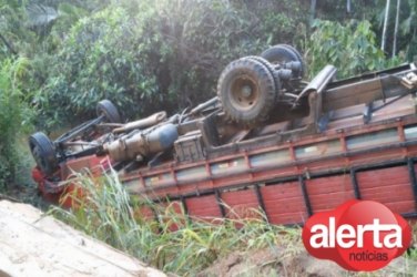 Motorista erra ponte e caminhão boiadeiro despenca