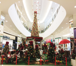 Porto Velho Shopping realiza ação social que beneficiará Pestalozzi