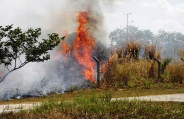 CENA DA CIDADE – Área verde da capital é destruída por fogaréu