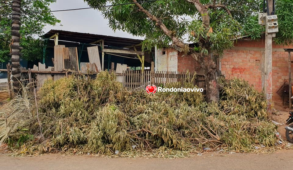 DESCASO: Comunidade pede que Energisa recolha sujeira deixada em bairro da capital