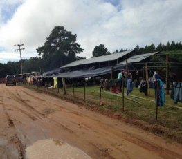 MPF/RO consegue cancelar reintegração de posse em fazenda invadida