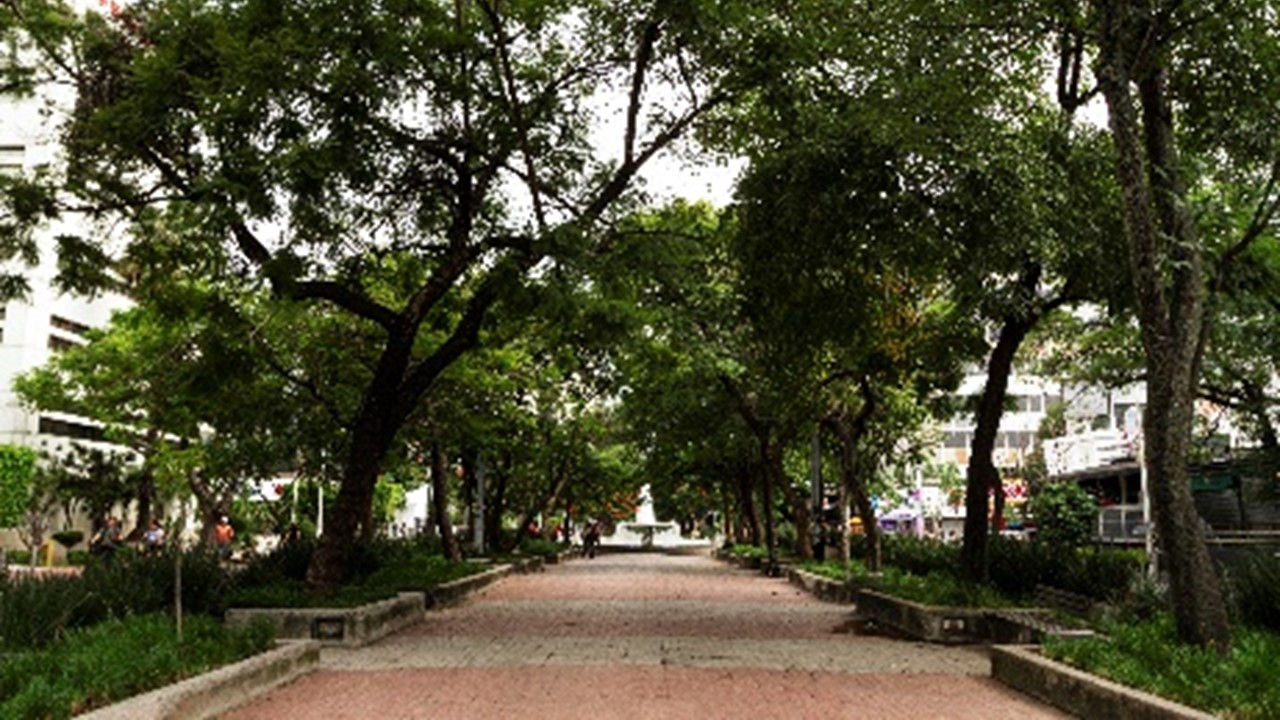 CIDADES TRANSFORMADAS: Brasil lança Plano Nacional de Arborização Urbana