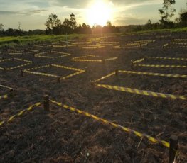 Rondônia Rural Show terá maior área de exposição de tecnologias