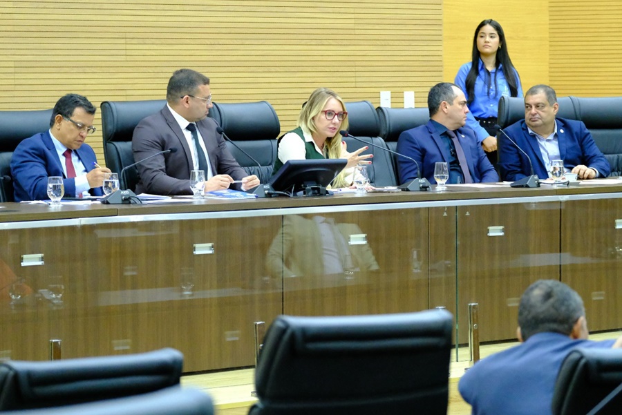 IEDA CHAVES: Dep. fortalece apelo pelo avanço do Corredor Interoceânico Amazônia Ocidental