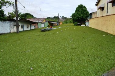 CHEIA – Parte da Avenida Alexandre Guimarães se transforma em Pântano 