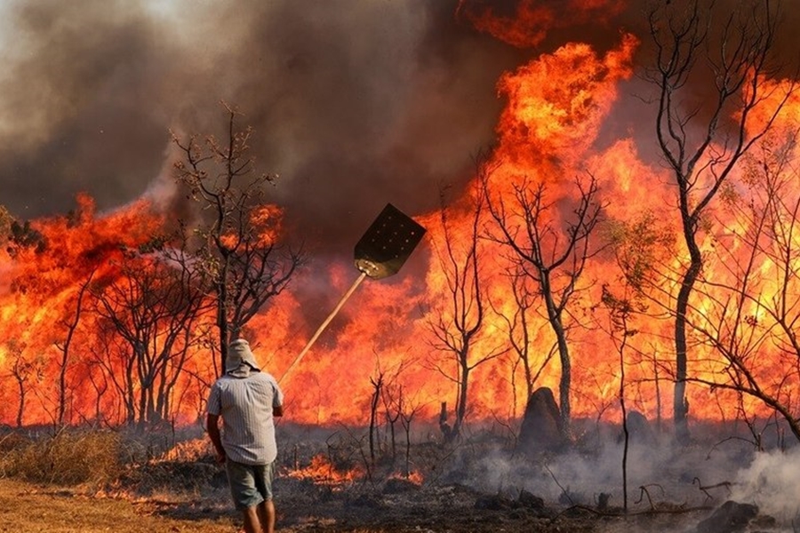 MONITORAMENTO: Ação humana causa 99% dos incêndios florestais no Brasil