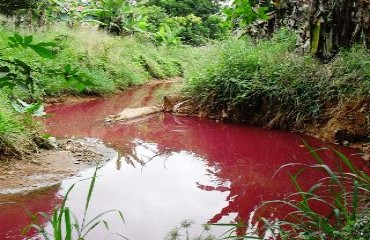 IMPACTO AMBIENTAL – Água do principal canal do bairro Esperança da Comunidade amanhece com cor vermelha e assusta moradores – Fotos e vídeo