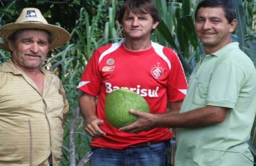 ESPIGÃO DO OESTE – Agricultor colhe laranja com mais de três quilos 