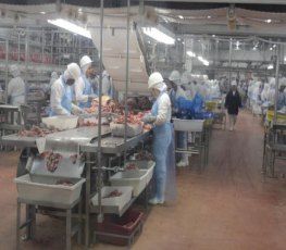 Comitiva inicia quinta-feira visita técnica a frigoríficos de Rondônia