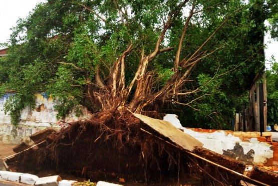 TEMPORAL – Ventania causa destruição e deixa parte da cidade no escuro - FOTOS