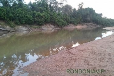 Denúncia de mortandade de peixes no Rio Jamari preocupa moradores