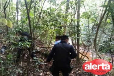 Alunos da APAE desaparecem no Jardim Botânico 