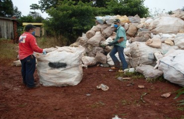 Idaron recolhe mais de 39 mil embalagens vazias de agrotóxicos em Alto Alegre 