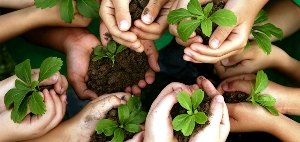 Congresso Brasileiro de Educação Ambiental é lançado nesta sexta na Capital 