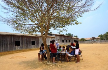 VERGONHA NACIONAL - Em Rio Pardo, alunos assistem aulas debaixo de uma árvore